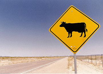 科隆：《新无主之地传说》公布 10月21日发售